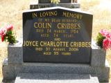 image of grave number 749682